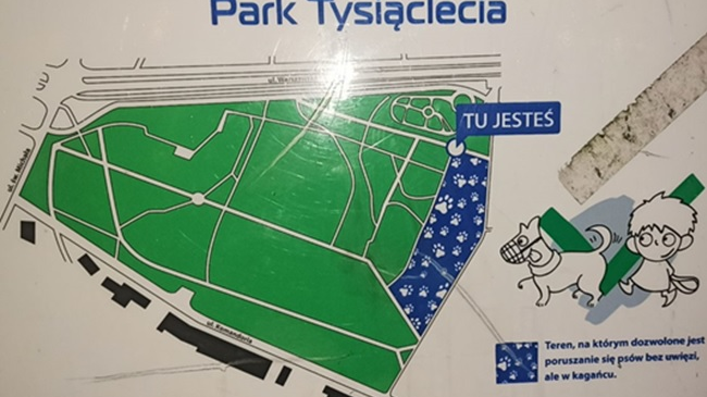 plansza z mapą Parku Tysiąclecia, na niej zaznaczona strefa gdzie można wyprowadzać psy bez smyczy