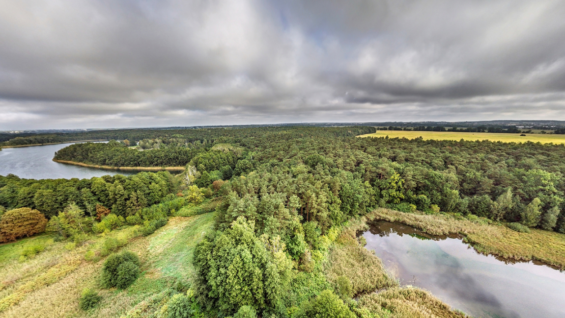 widok z lotu ptaka na tere leśny i łąki oraz zbiorniki wodne - grafika artykułu
