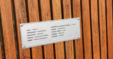 drewniane opracie ławki, a na nim tabliczka z wybranymi słowami w języku polskim i tłumaczeniu na gwarą poznańską