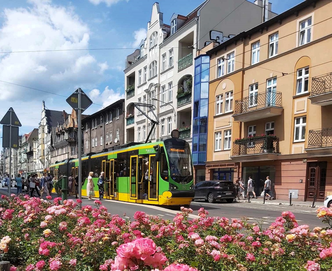 tramwaj na przystanku na ulicy, wsiadają i wysiadają pasażerowie, za tramwajem kamienica, na pierwszym planie kwiaty rosnące przy drodze - grafika artykułu