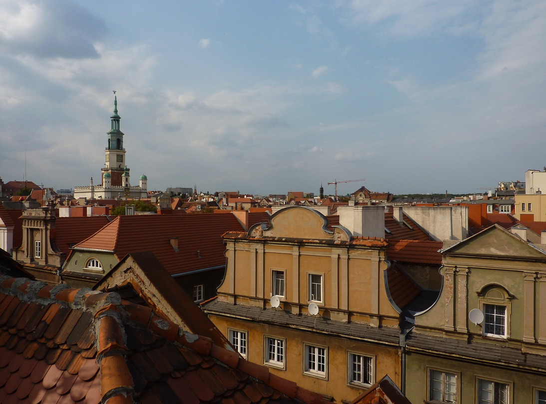 dachy kamienic, na dalszym planie widoczna wieża ratusza w Poznaniu - grafika artykułu