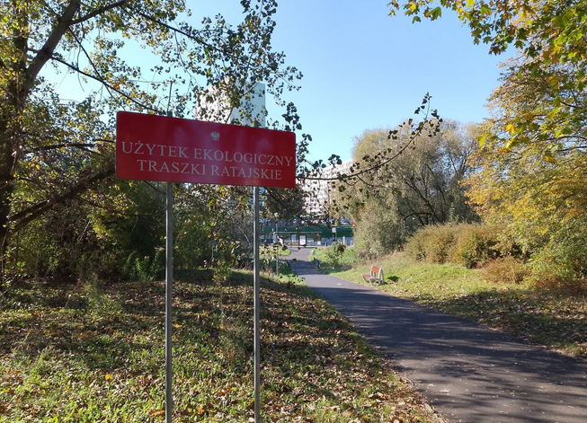 fragment użytku ekologicznego Traszki Ratajskie, drzewa, krzewy, trafa, asfaltowa ścieżka, duża tablica z informacją, że jest to użytek ekologiczny - grafika artykułu