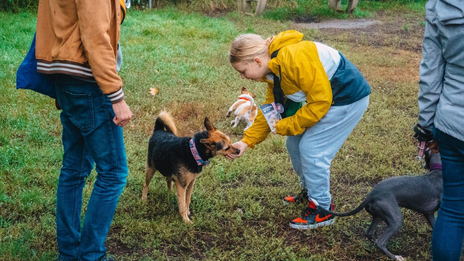 Zdjęcie przedstawia dziewczynę karmiącą psa z ręki.