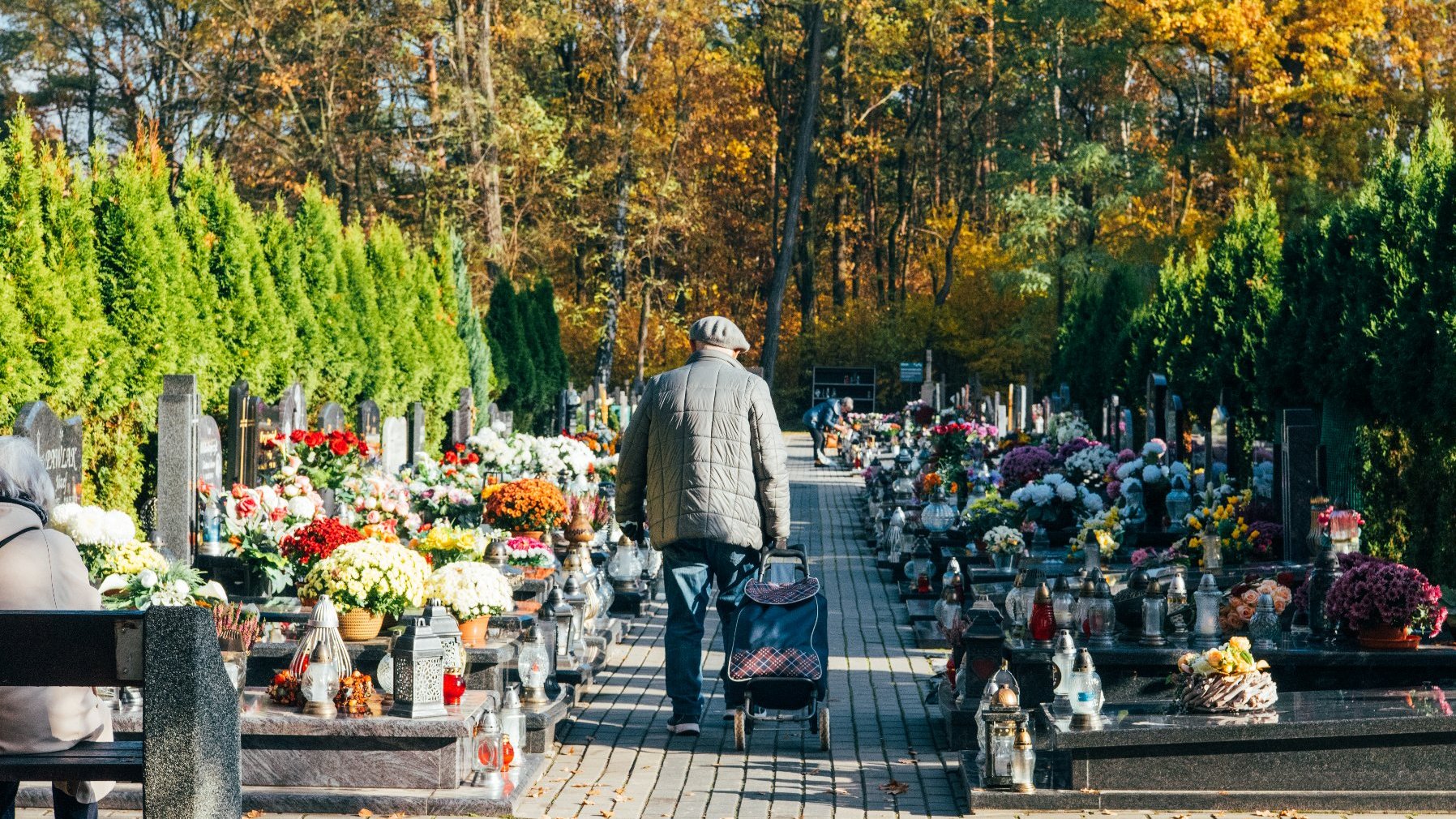 Alejka i groby na cmantarzu na Junikowie