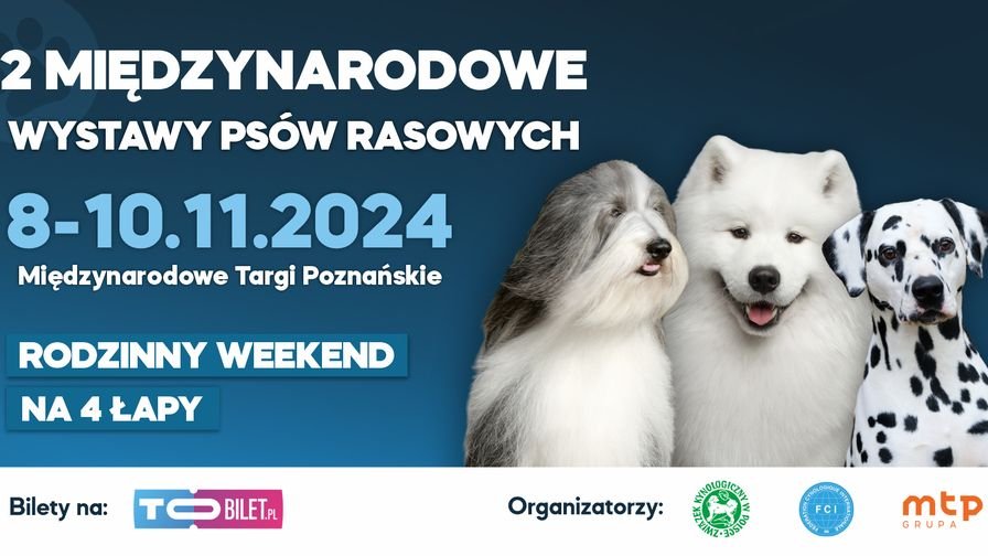 Plakat międzynarodowej wystawy psów rasowych z informacjami o imprezie i zdjęciami psów