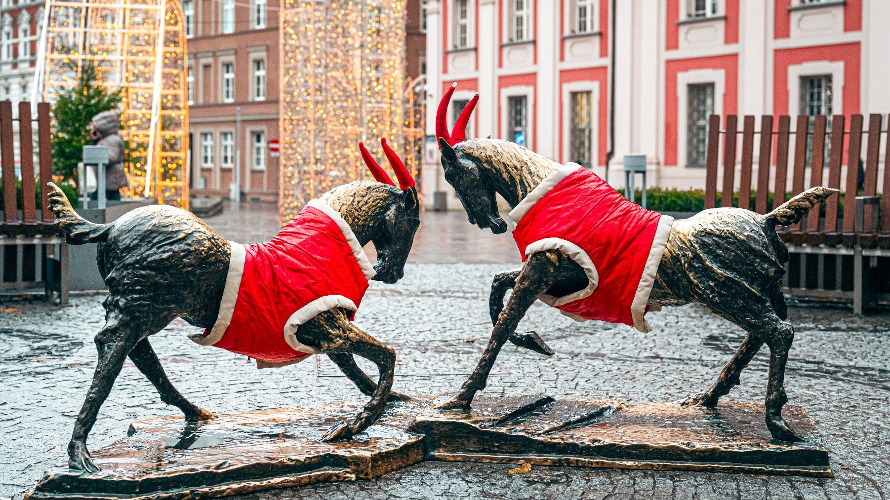 Na zdjeciu poznańskie koziołki w świątecznych ubrankach