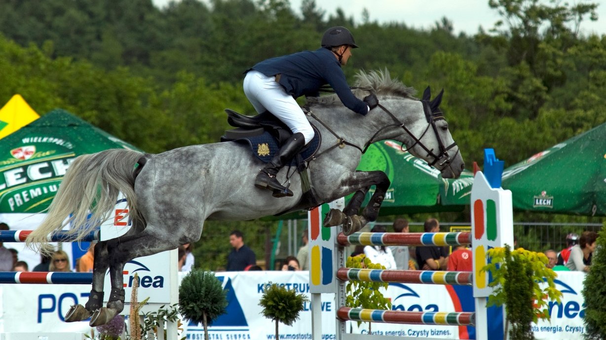 CSI** 2010, autor: Bernard Guziałek