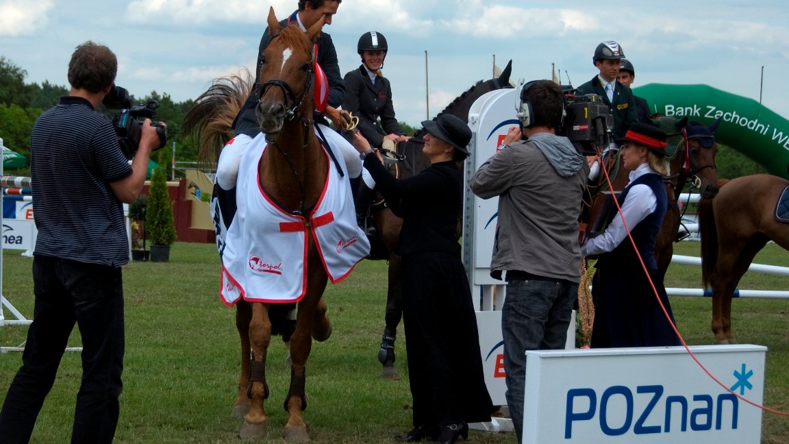 CSI** 2010, autor: Bernard Guziałek