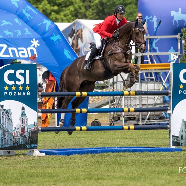 CSI*4 Poznań - Konkurs finałowy Młodych Koni