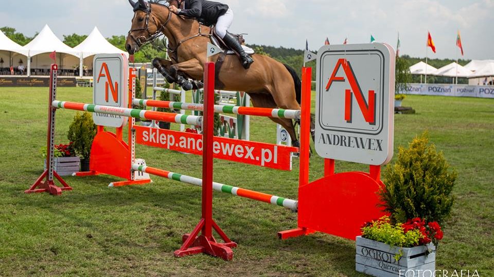 CSI*4 Poznań - Konkurs finałowy Młodych Koni