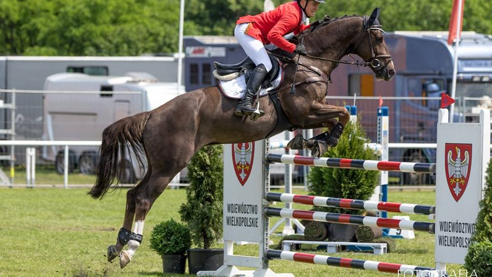 CSI*4 Poznań - Konkurs finałowy Młodych Koni