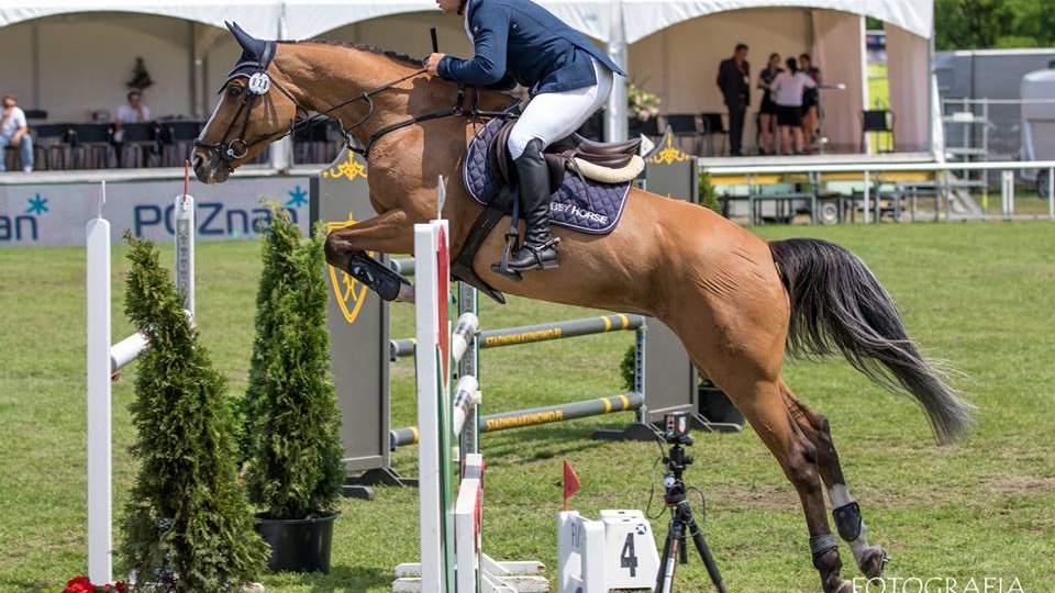 CSI*4 Poznań - Konkurs finałowy Młodych Koni