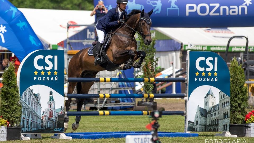 CSI*4 Poznań - Konkurs finałowy Młodych Koni