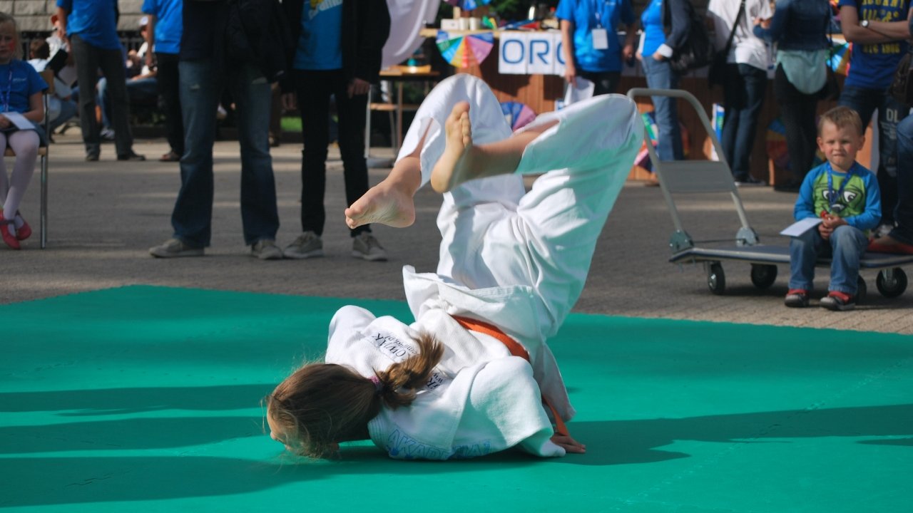 Pokaz Judo