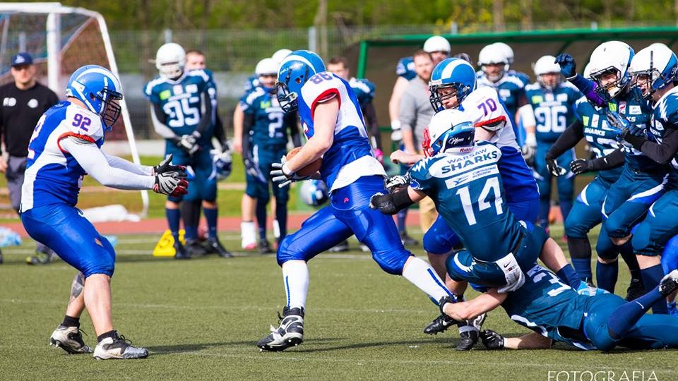 Kozły Poznań - Warsaw Sharks