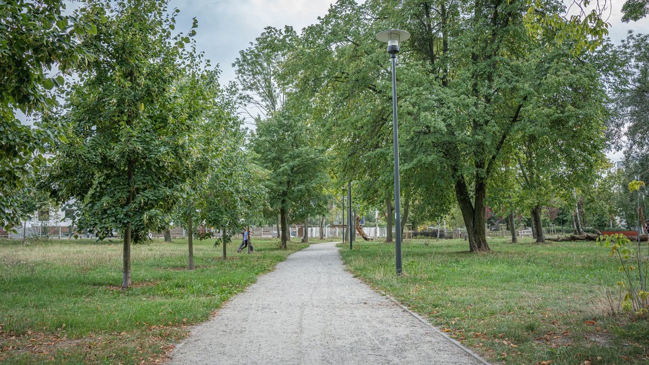 Ścieżka w parkuz latarniami i drzewmi wzdłuż niej.