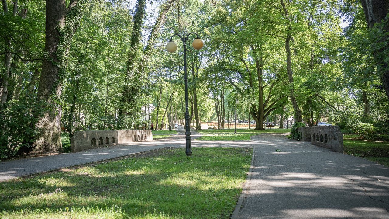 Widok na ścieżki parku.