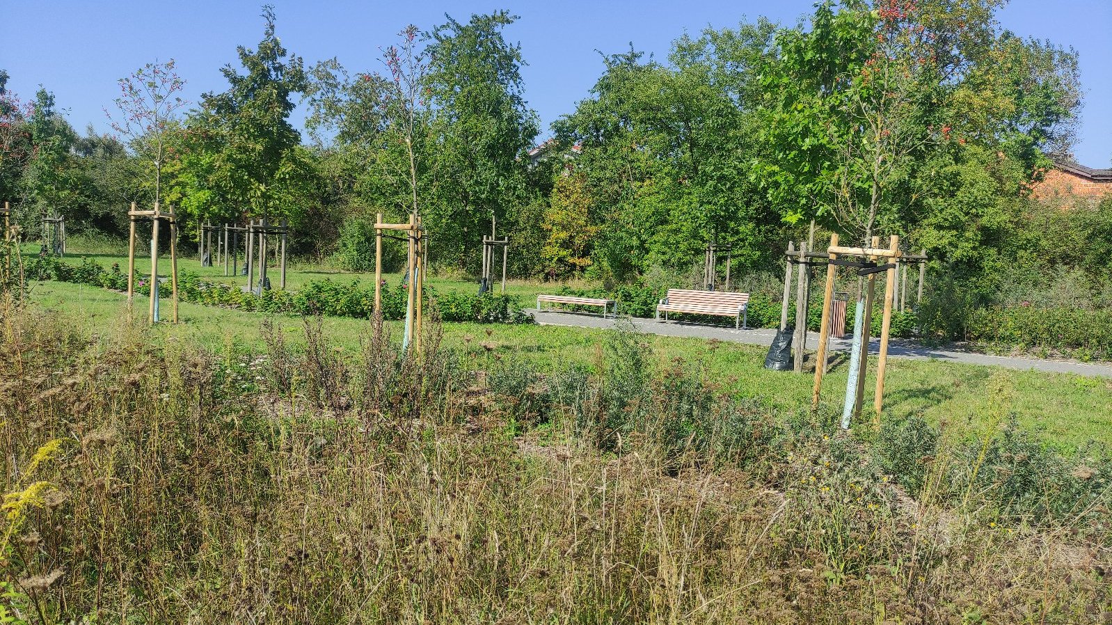 ul. Emmy Puffke - zieleń w sąsiedztwie