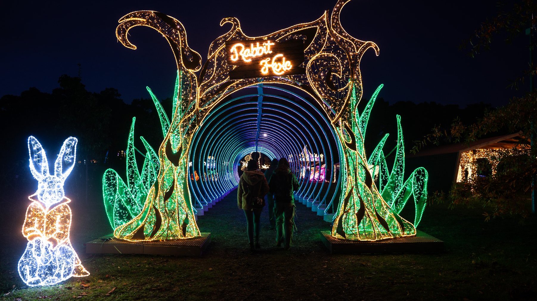 Galeria zdjęć przedstawia iluminacje świetlne i oglądających je ludzi.