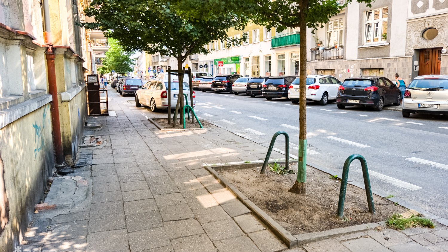 Widać zniszczony chodnik, dwa drzewa i parkujące samochody