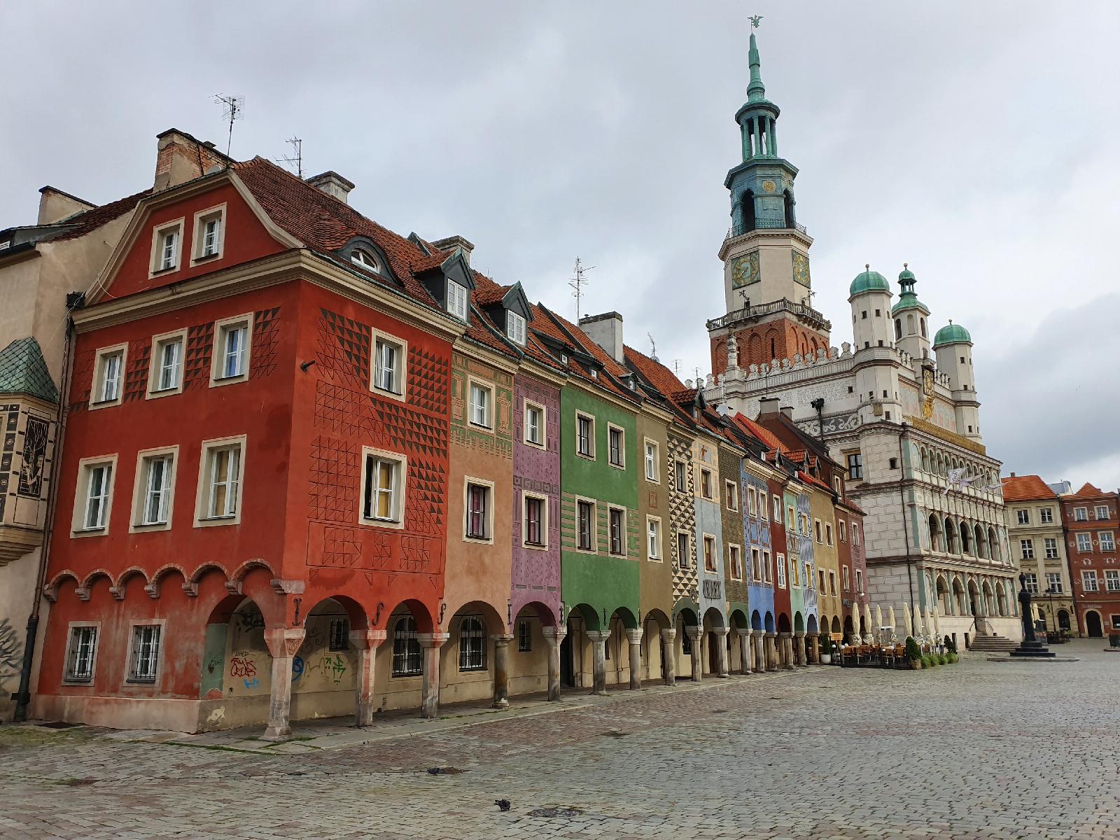 Zdjęcie pokazuje Stary Rynek z domkami budniczymi i Ratuszem - grafika artykułu