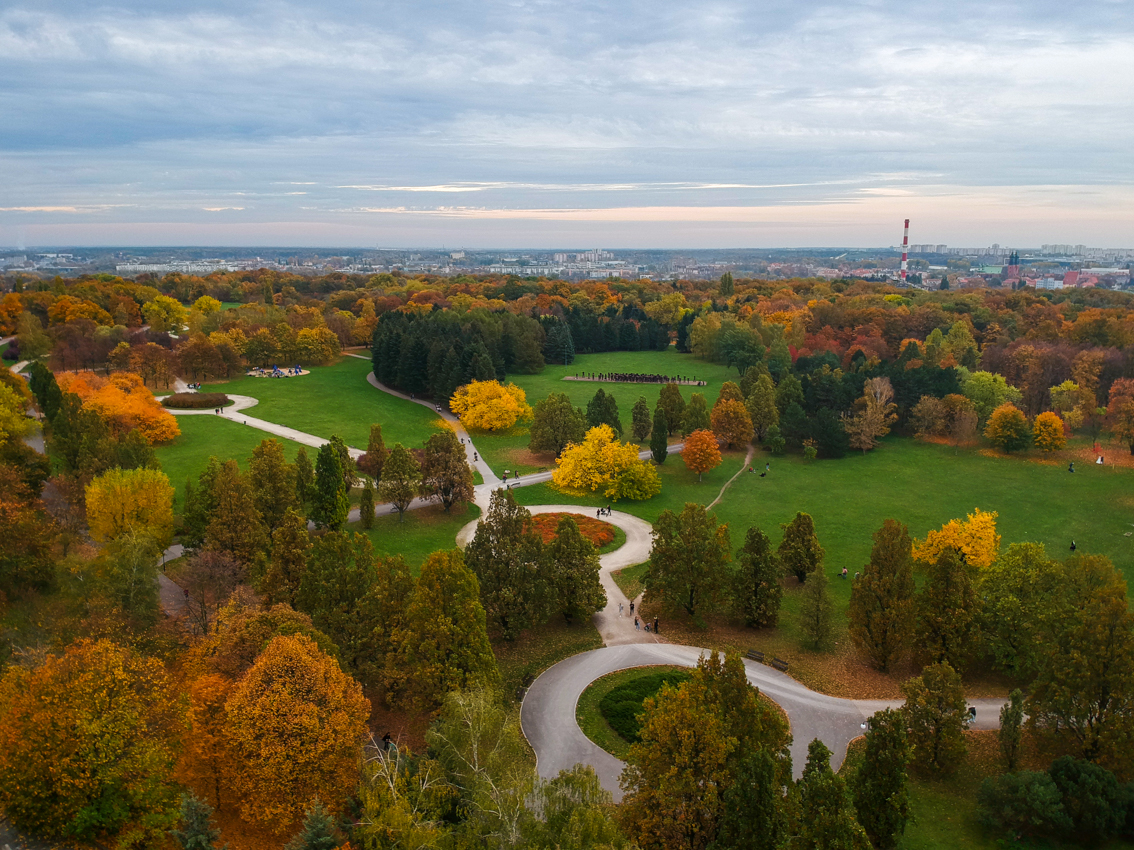 Widok na park Cytadela z lotu ptaka. - grafika artykułu