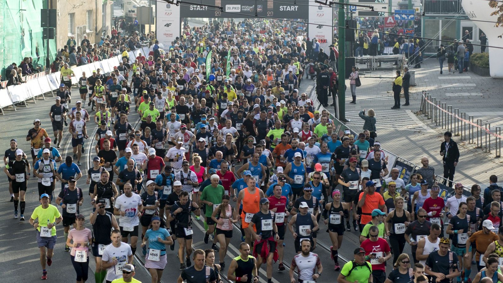 Biegacze na starcie maratonu w 2019 roku - grafika artykułu