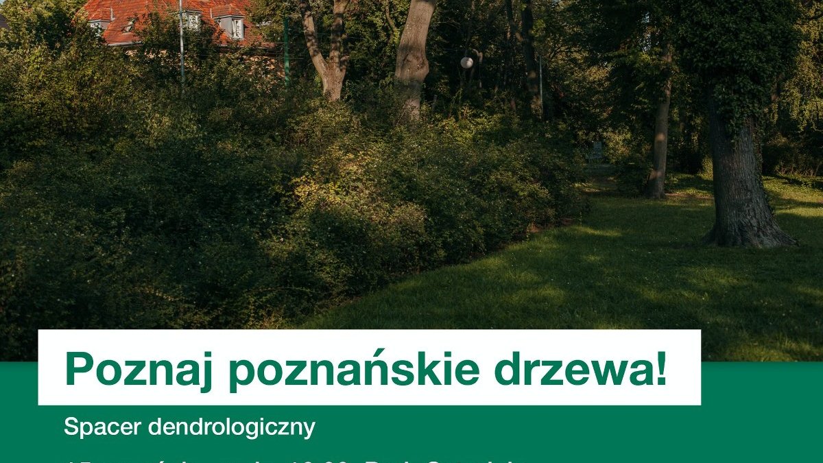 Plakat spacerów po parkach