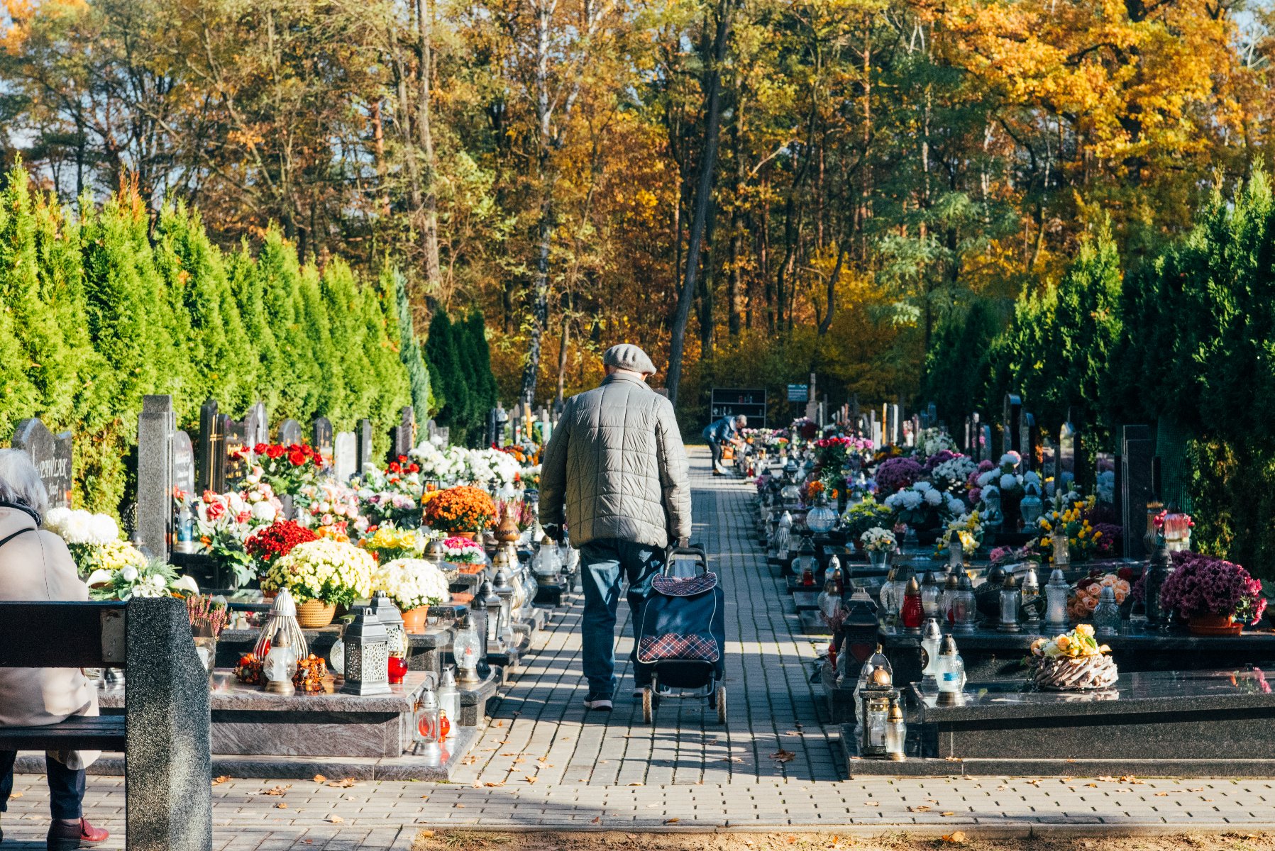 Na zdjęciu cmentarna alejka, jej środkiem idzie senior, po bokach nagrobki z kwiatami - grafika artykułu