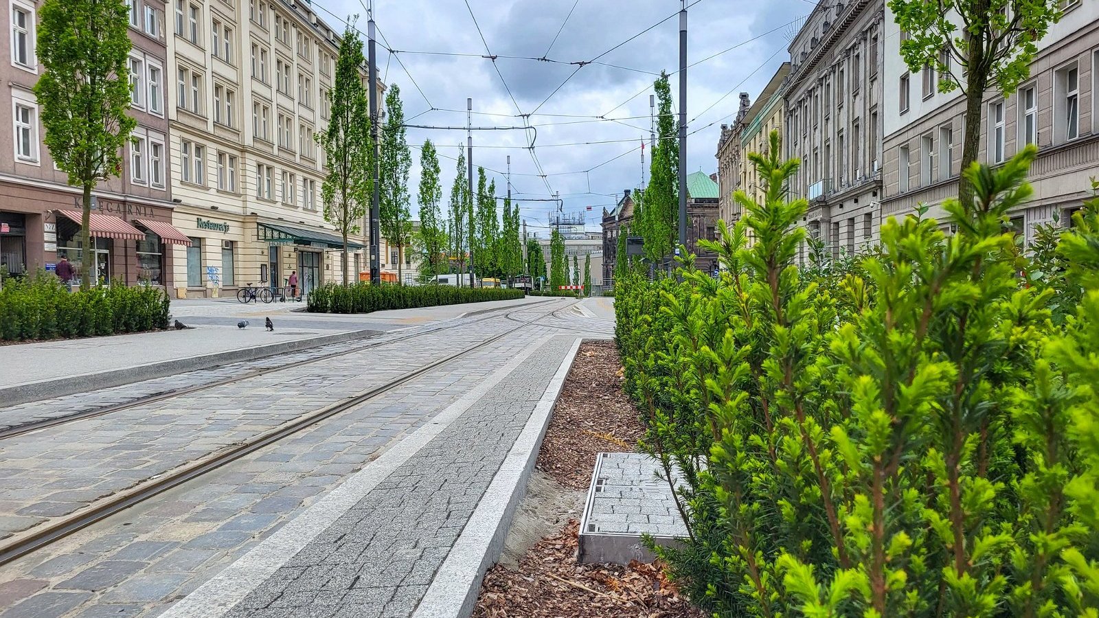 Galeria zdjęć z odnowionej Al. Marcinkowskiego