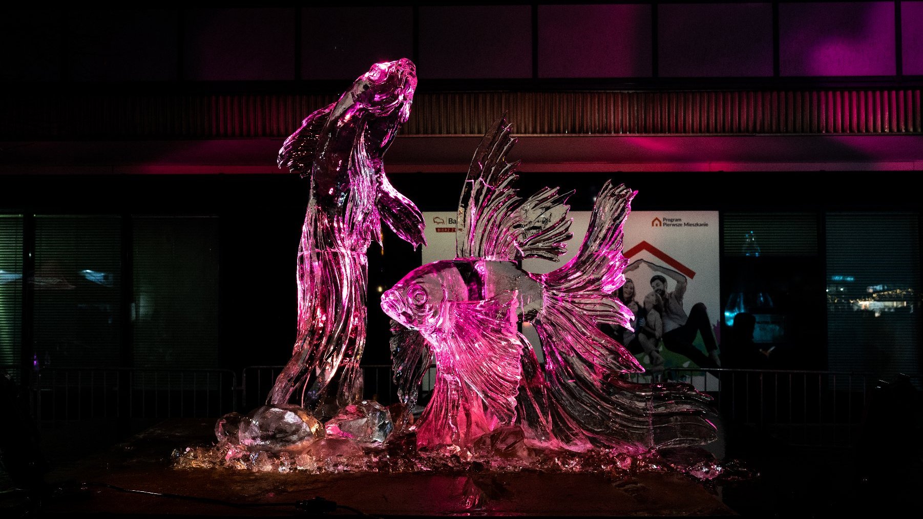 Poznań Ice Festival - znamy zwycięzców