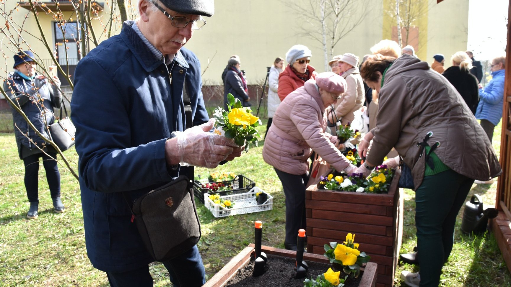 Zdjęcie przedstawia seniorów sadzących rośliny.