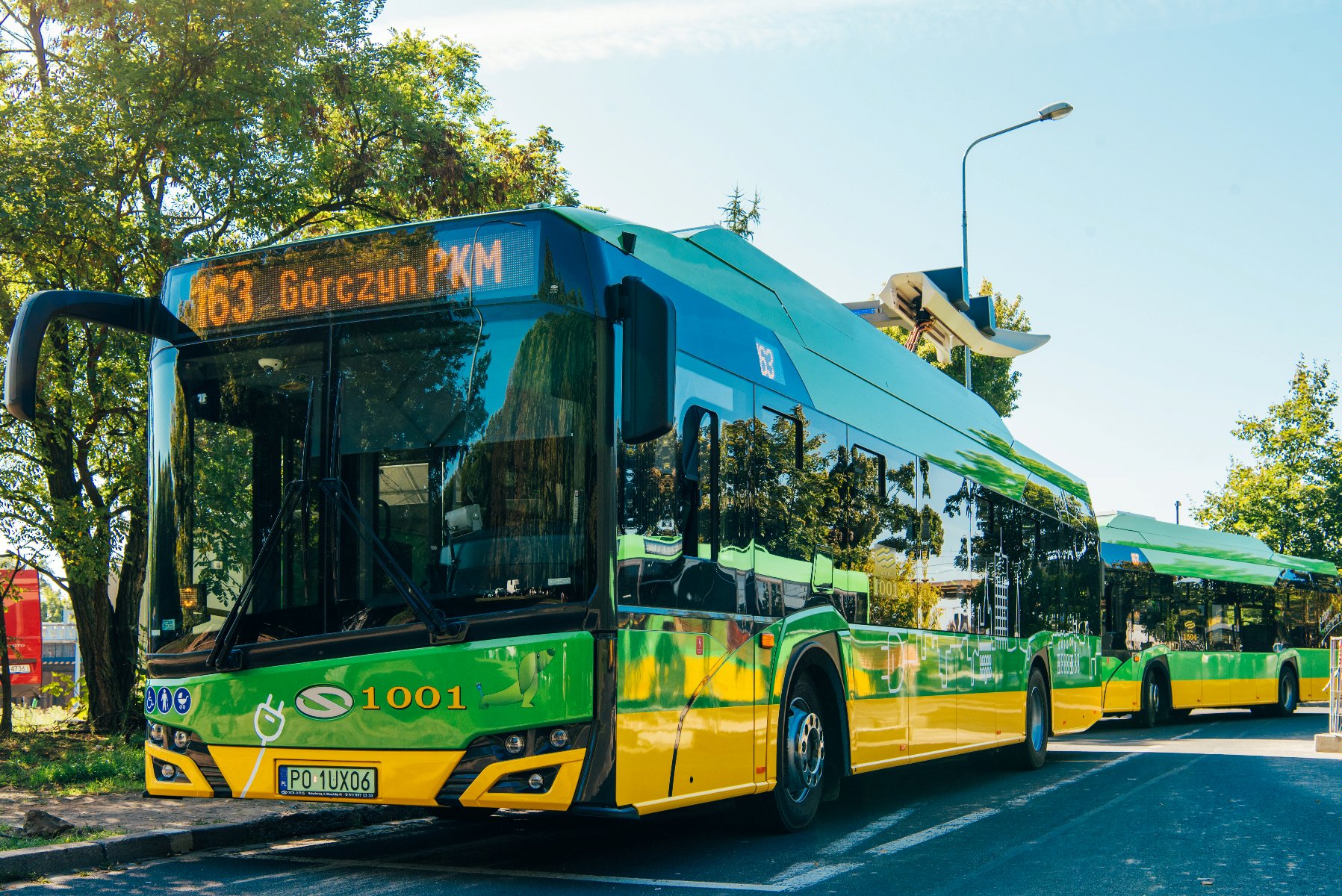 Autobus linii nr 163 - grafika artykułu