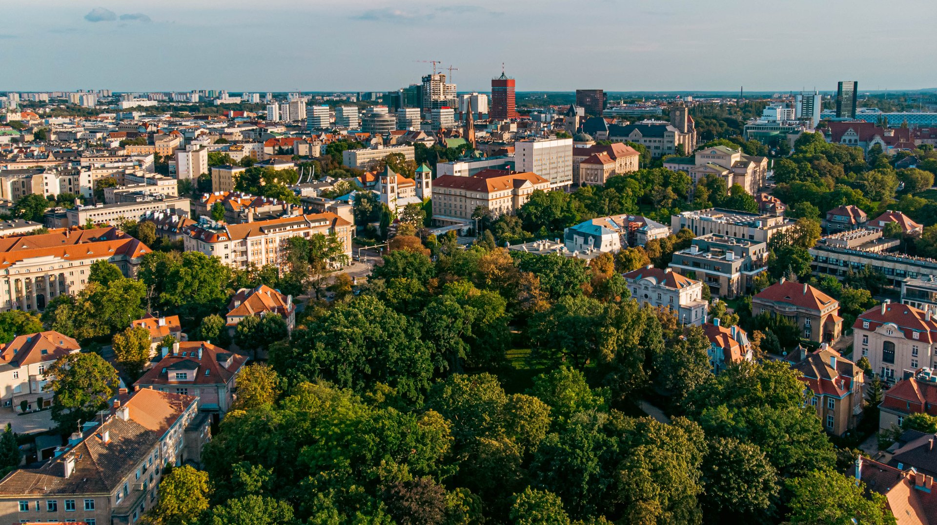 Na zdjęciu panorama Poznania z lotu ptaka, na pierwszym planie drzewa, w tle wysokie budynki - grafika artykułu