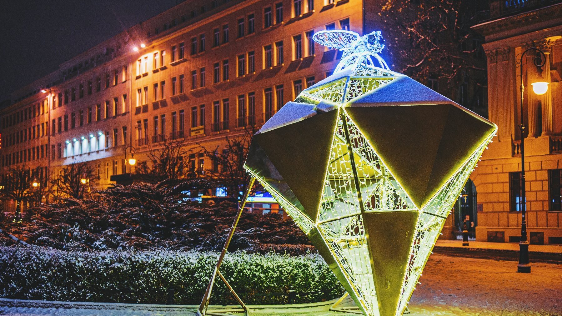 Zdjęcie przedstawia iluminację w kształcie diamentu, na którym siedzi mucha. W tle widac buydnki i krzewy.