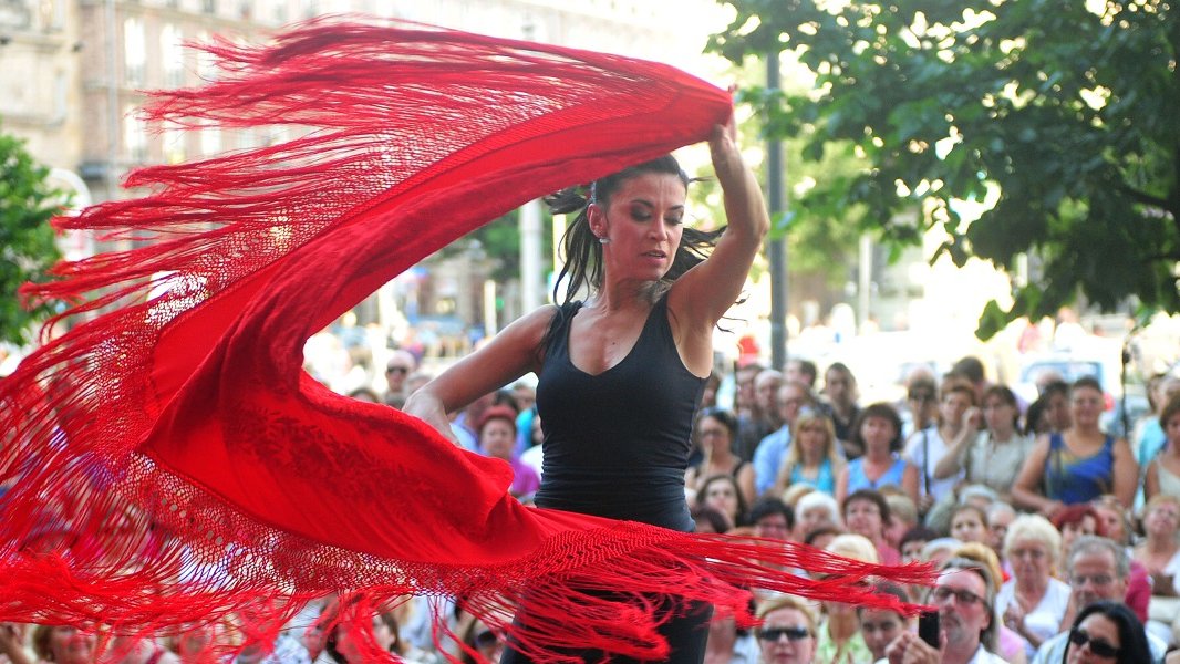 Flamenco, fot. R. Jaworski