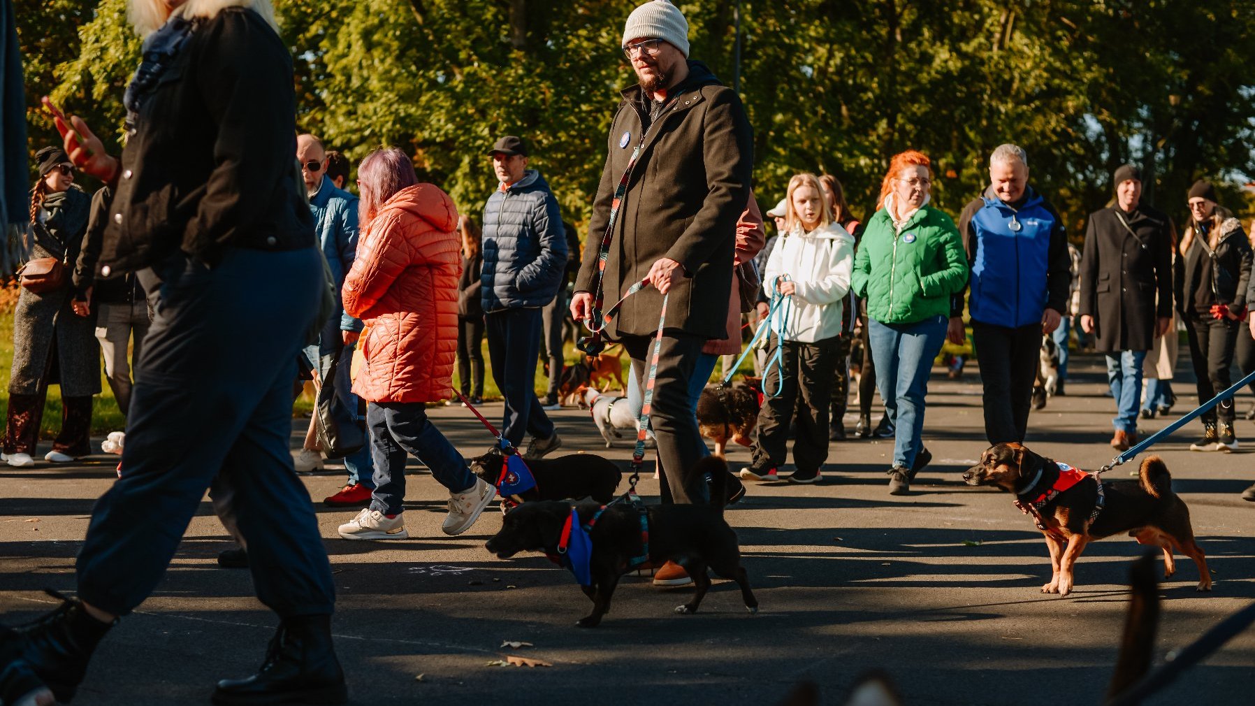 Zdjęcie przedstawia ludzi z psami.