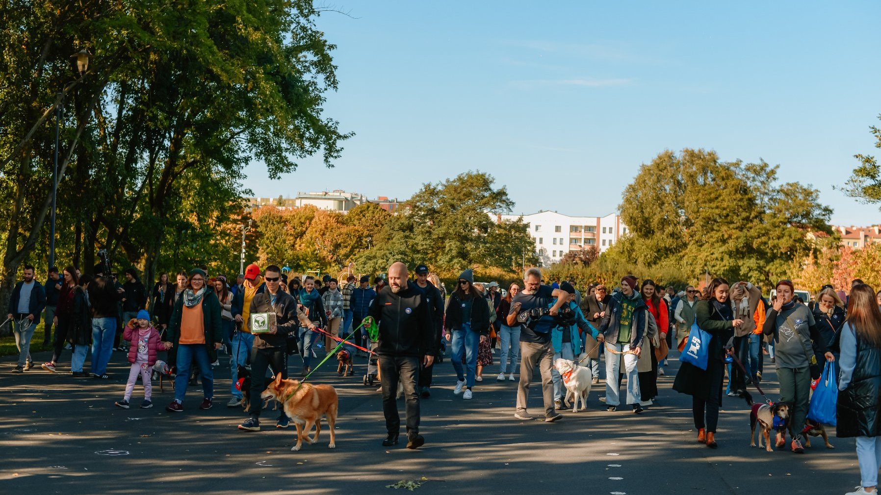 Zdjęcie przedstawia ludzi z psami.