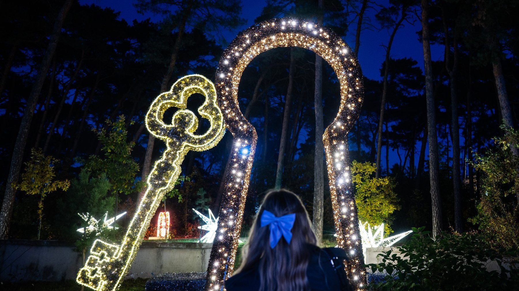 Galeria zdjęć przedstawia iluminacje świetlne i oglądających je ludzi.