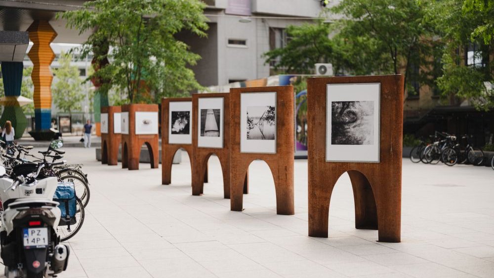 Rząd drewnianych stelaży prezentujących fotografie pokazany od drugiej strony. Obok stelaży stoją zaparkowane rowery, za stelażami widać drzewa oraz wejście do Concordii Design.