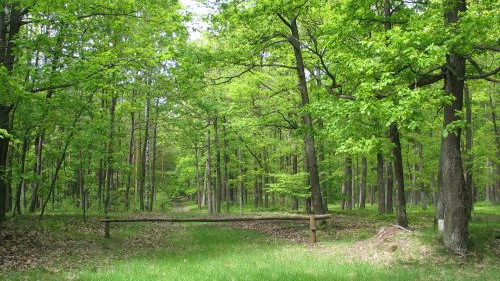 El Parque Nacional de Gran Polonia