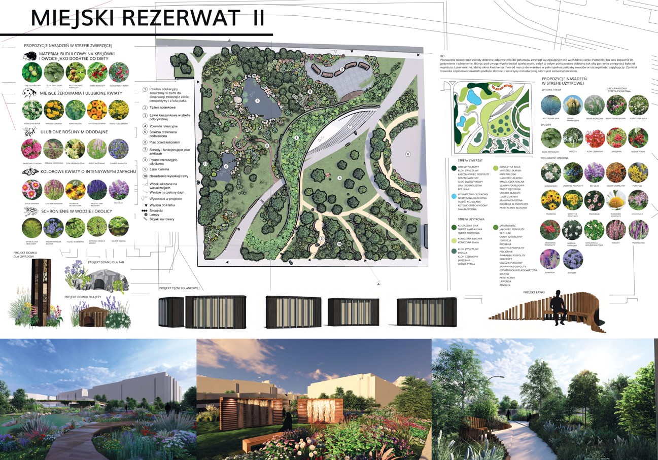 Plansza nr 2, plan i opis roślin.