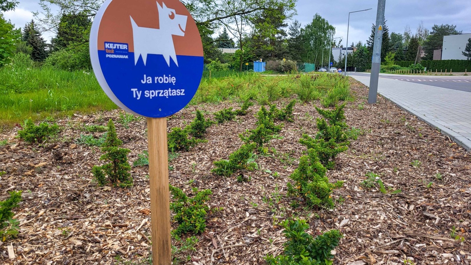 Zdjęcie przedstawia tabliczkę z rysunkiem psa i napisem "ja robię, ty sprzątasz" umeiszczoną na skwerze.