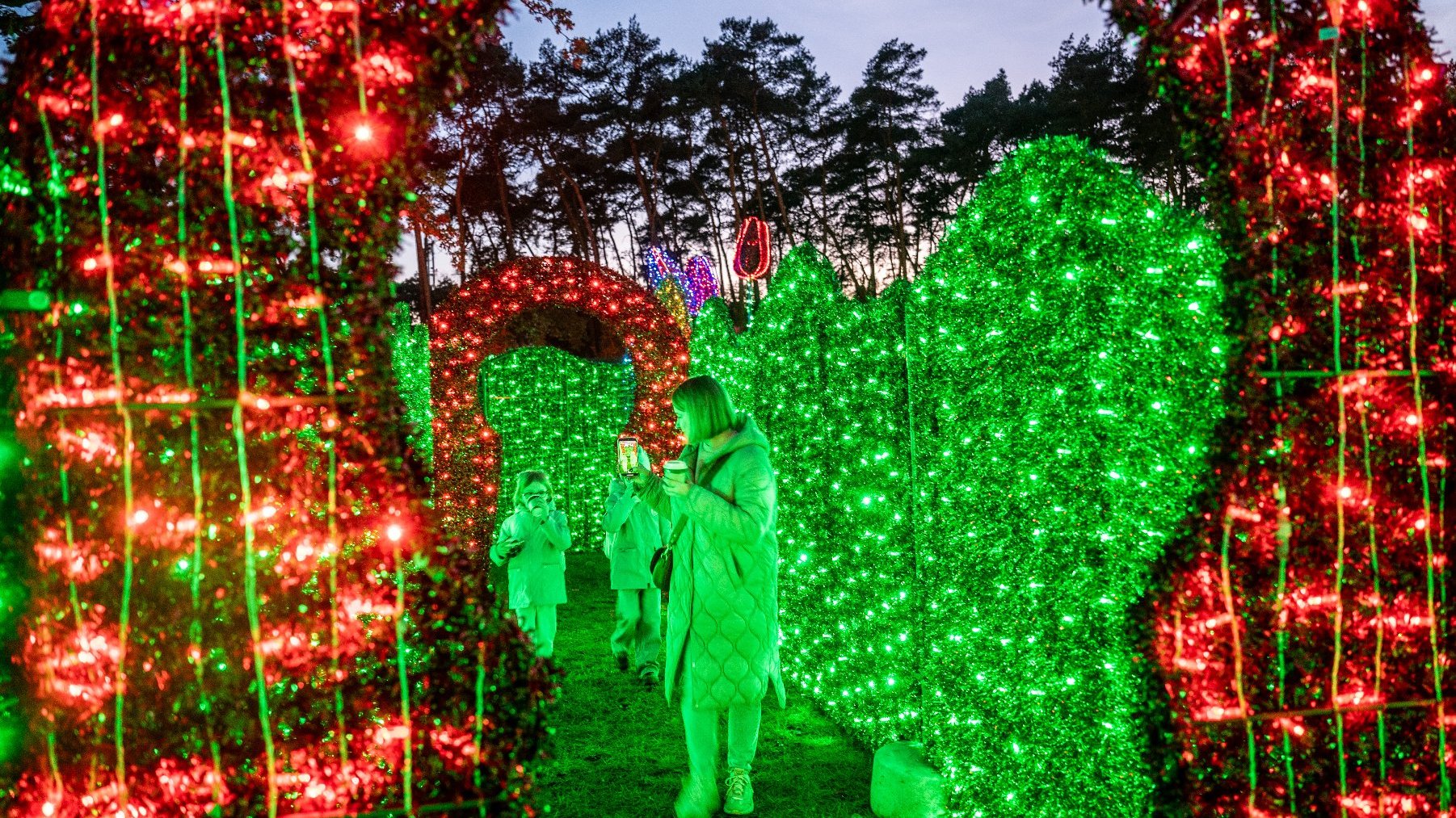 Galeria zdjęć przedstawia iluminacje świetlne i oglądających je ludzi.