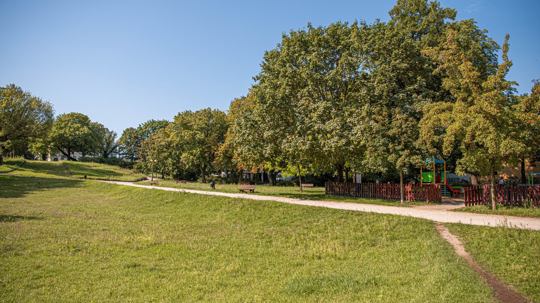 Zdjęcie przedstawia park. Widać na nim zieleń - trawę i drzewa oraz alejki z ławkami. W tle znajduje się ogrodzenie, za którym jest plac zabaw.