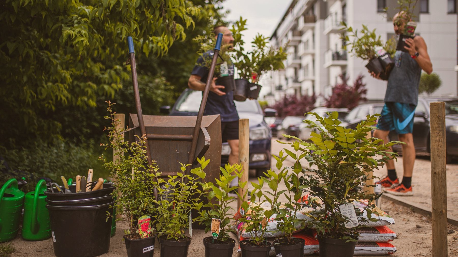 Na zdjęciu dwóch mężczyzn sadzących rosliny w przestrzeni publicznej