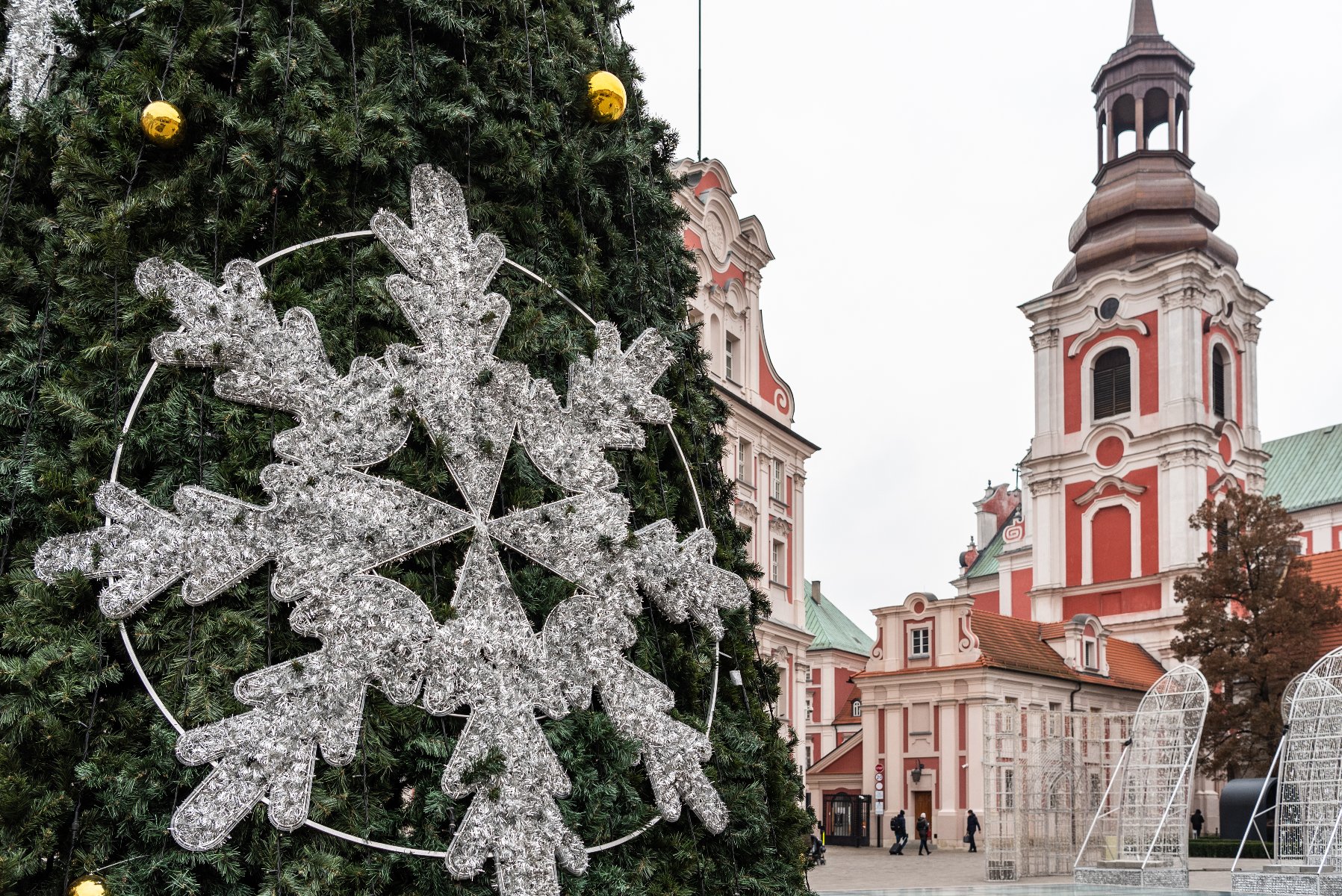 Na zdjęciu miejska choinka, w tle budynek urzędu na placu Kolegiackim - grafika artykułu