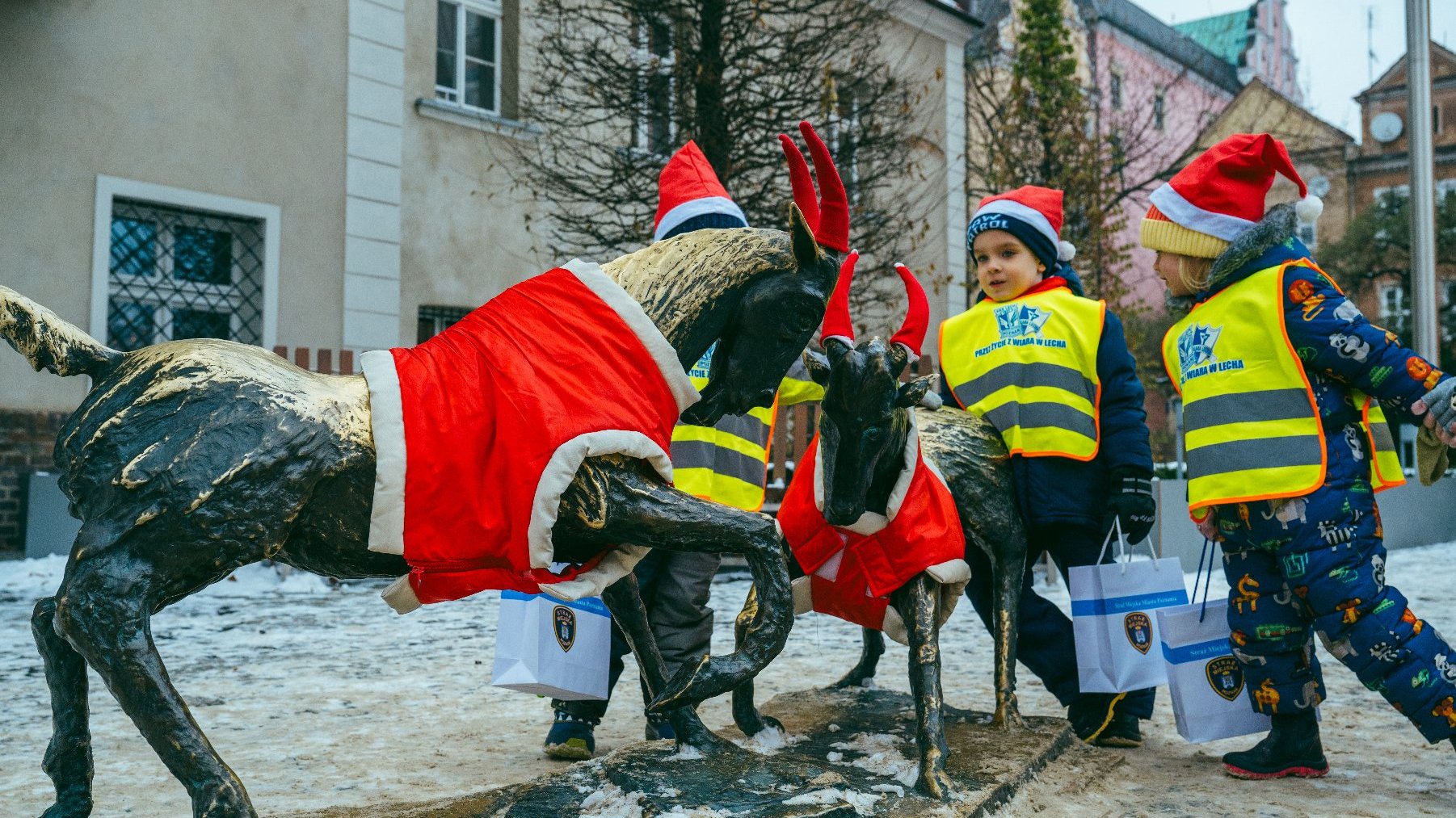 Galeria zdjęć z ubierania koziołków