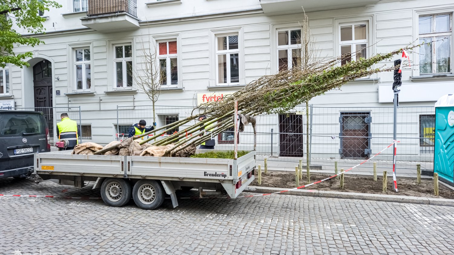 Galeria zdjęć z nasadzeń nowych drzew i zieleni niskiej przy ul. Czarnieckiego