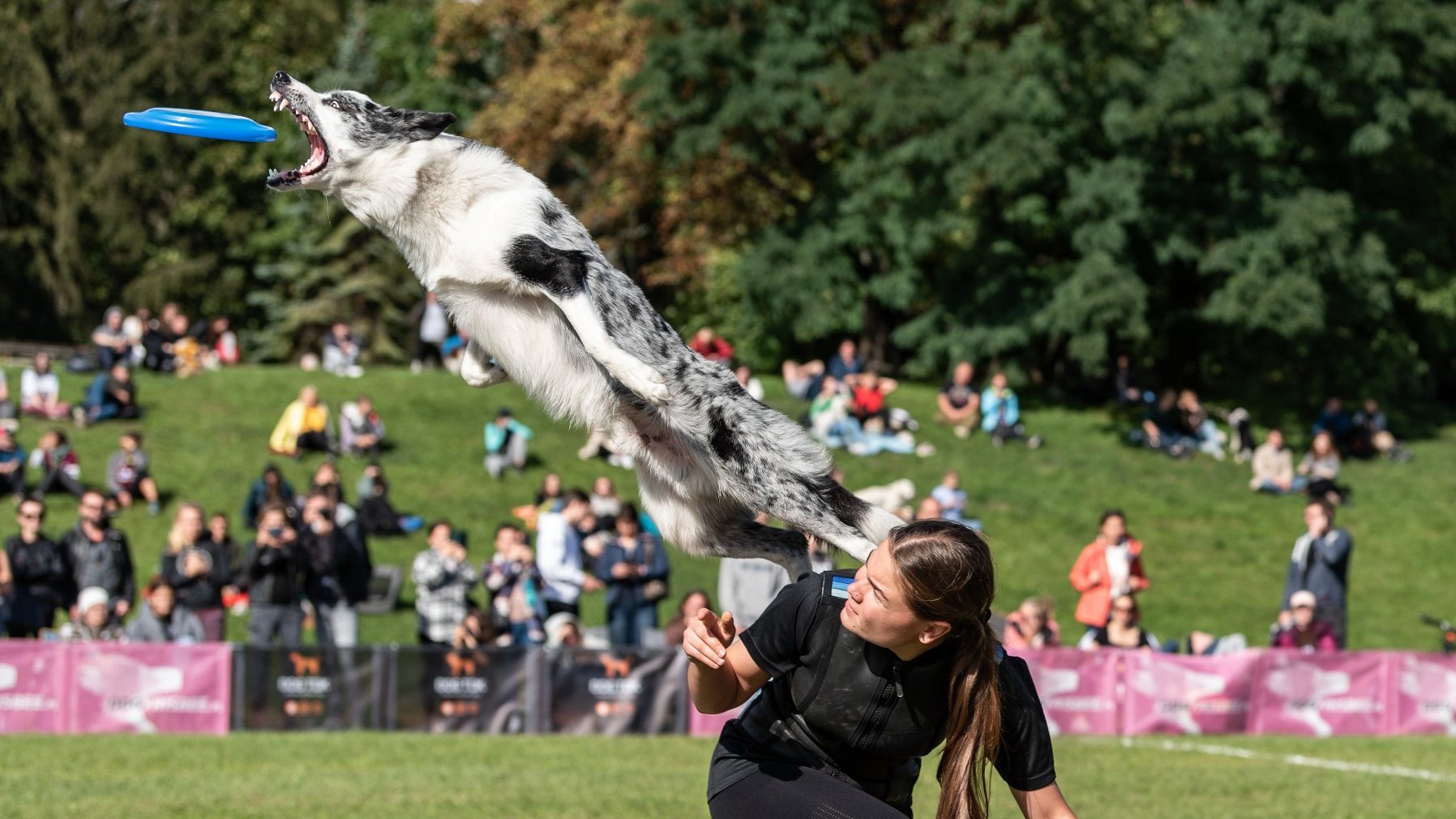 Kejtrówka i "Latające psy" wracają na Cytadelę